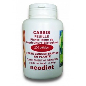 Cassis feuille Bio - 200...