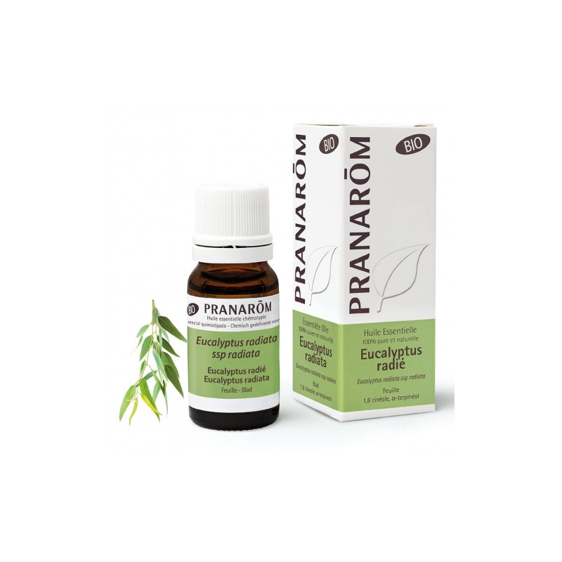 Huile Essentielle Eucalyptus Radié Bio Huile Essentielle Eucalyptus Radié Bio