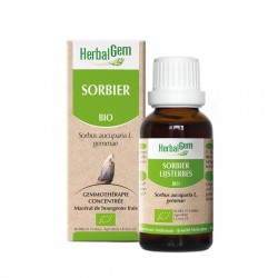 Sorbier bio Herbalgem - 50ml