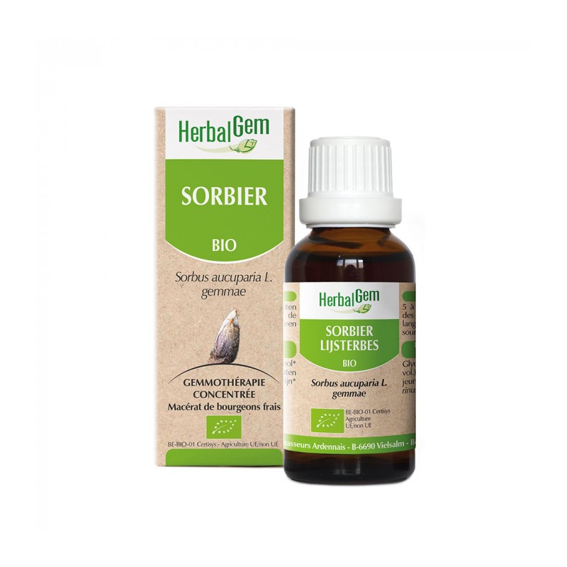 Sorbier bio Herbalgem - 50ml