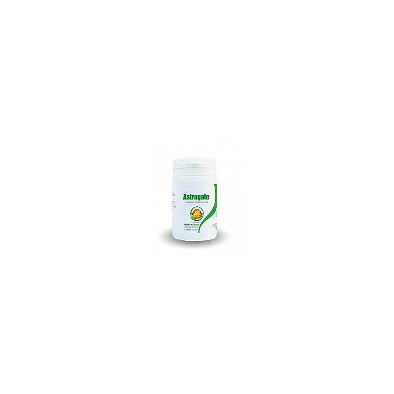 ASTRAGALE Hang-qi médecine traditionnelle chinoise, plante adaptogène Ayurveda ASTRAGALE Hang-qi médecine traditionnelle chinoise, plante adaptogène Ayurveda