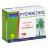 Pycnogenol NATESIS extrait ecorce de pin est un puissant anti-oxydant riche en OPC (procyanidines)