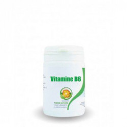 VITAMINE B6 - 60 gélules