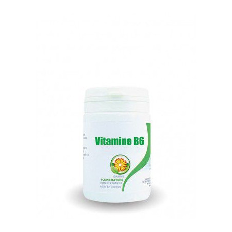 VITAMINE B6 - 60 gélules