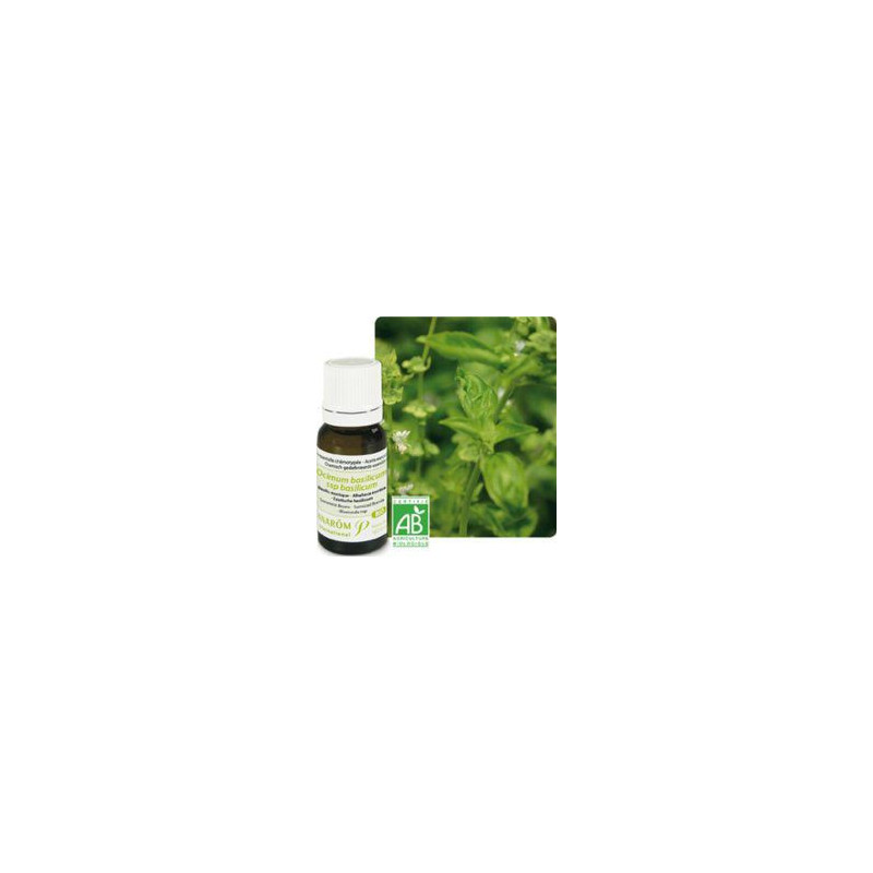 huile essentielle de basilic bio Basilic exotique Ocimum basilicum huile essentielle de basilic bio Basilic exotique Ocimum basilicum
