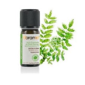 H E ENCENS OLIBAN Boswellia...