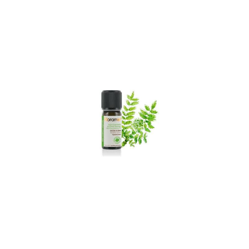 Huile essentielle d' Encens oliban Boswellia carterii rivae Bio Méditation cicatrisation cancer Huile essentielle d' Encens oliban Boswellia carterii rivae Bio Méditation cicatrisation cancer
