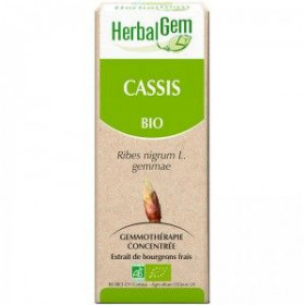CASSIS Macérat concentré de...