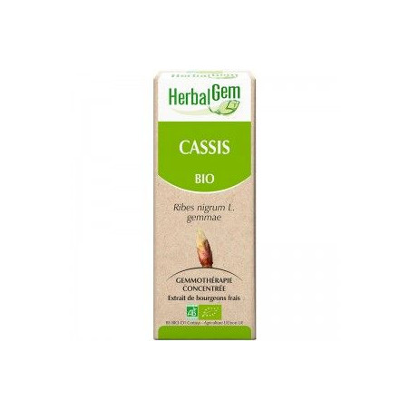 CASSIS Macérat concentré de Bourgeons bio