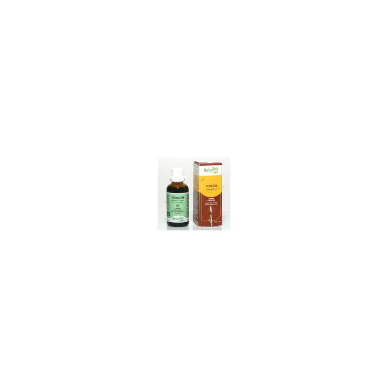 Tonigem Gemmothérapie stress fatigue Vitalité Herbalgem Gemmobase Sequoia Chene cassis romarin Tonigem Gemmothérapie stress fatigue Vitalité Herbalgem Gemmobase Sequoia Chene cassis romarin