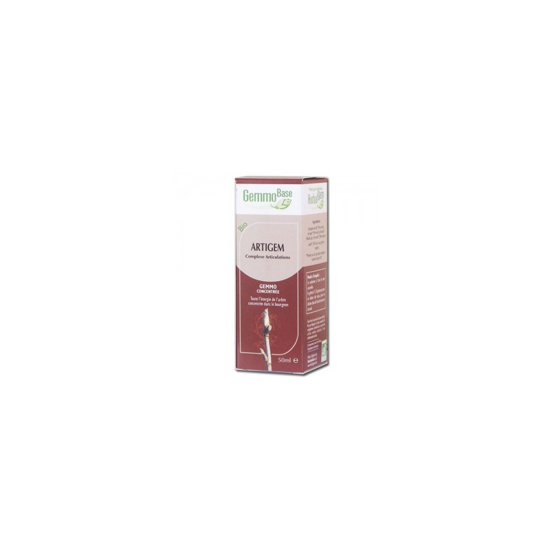 ARTIGEM 50 ml Gemmothérapie Bio des articulations Pin Vigne Cassis buvable ARTIGEM 50 ml Gemmothérapie Bio des articulations Pin Vigne Cassis buvable