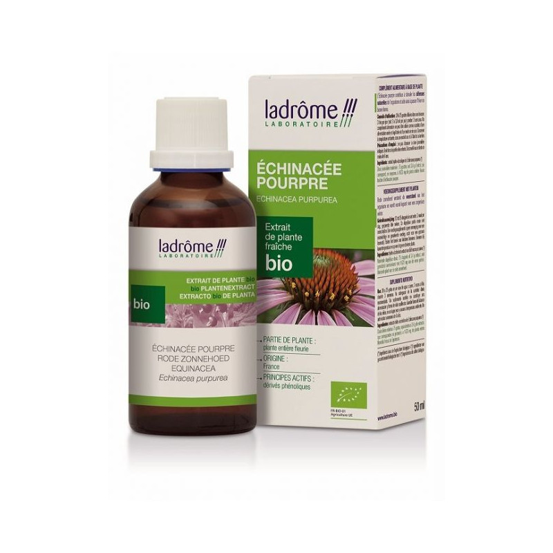 Teinture mère d'ECHINACEE Echinacea purpurea Teinture mère 100 ml Plante Resistance Protection Hiver Teinture mère d'ECHINACEE Echinacea purpurea Teinture mère 100 ml Plante Resistance Protection Hiver