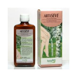 ARTISEVE Bio 250 ml