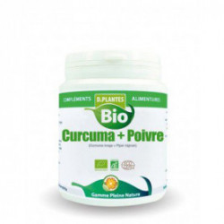 Curcuma + Poivre Bio - 200 gélules végétales