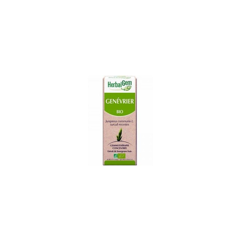 GENEVRIER extrait de bourgeons de plante bio rein foie artériosclérose diabète diurétique arthrite GENEVRIER extrait de bourgeons de plante bio rein foie artériosclérose diabète diurétique arthrite