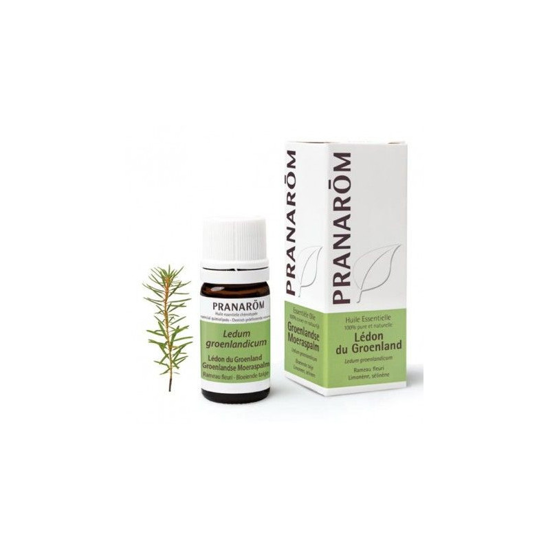Huile essentielle de LEDON du groenland 5 ml pranarom Huile essentielle de LEDON du groenland 5 ml pranarom