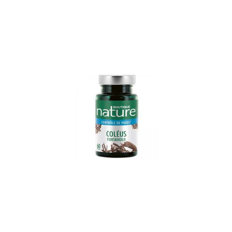 Coleus Forskholli 60 gélules végétales ayurveda brule graisses lipides circulation FORSKOHLII vegeta Coleus Forskholli 60 gélules végétales ayurveda brule graisses lipides circulation FORSKOHLII vegeta