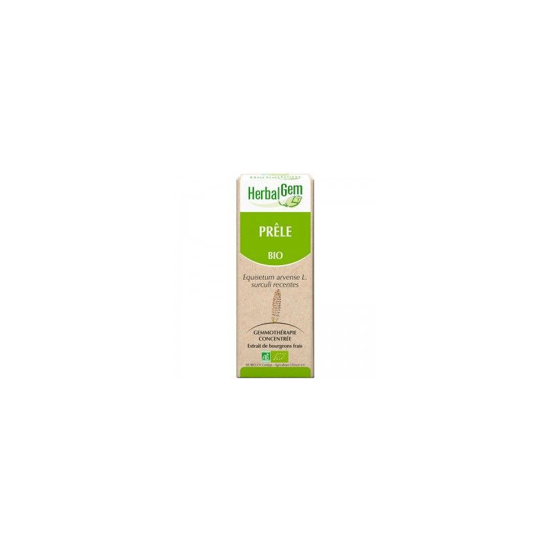 PRELE gemmothérapie macérat de bourgeons douleurs articulaires arthrose equisetum arvense bio 50 ml PRELE gemmothérapie macérat de bourgeons douleurs articulaires arthrose equisetum arvense bio 50 ml