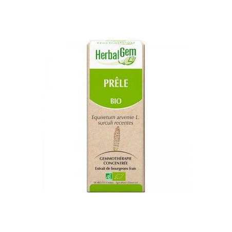 PRÊLE Macérat de bourgeons bio 50 ml