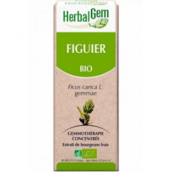 Figuier Bio 50 ml