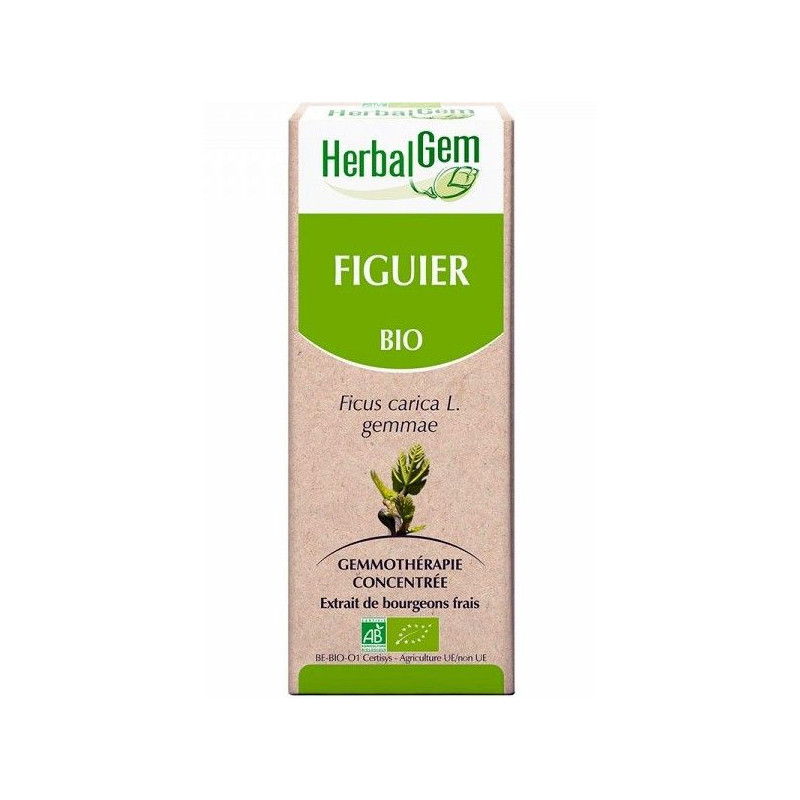 Figuier Bio gemmo Herbalgem 50 ml stress fatigue Détente Estomac nerfs psychisme sommeil voix Figuier Bio gemmo Herbalgem 50 ml stress fatigue Détente Estomac nerfs psychisme sommeil voix