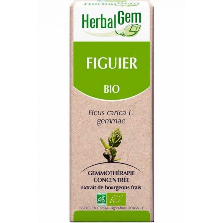 Figuier Bio 50 ml