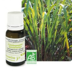 HE Citronnelle de Java Bio 10 ml