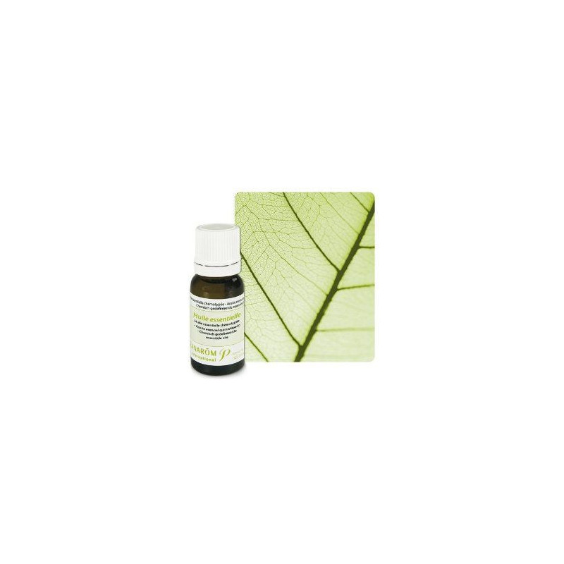 Huile essentielle de CELERI 10 ml Huile essentielle de CELERI 10 ml