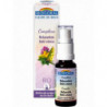 Spray Relaxation Anti-stress Bio 20 ml