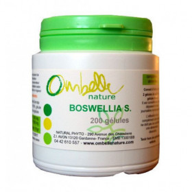 Boswellia serrata - 200...