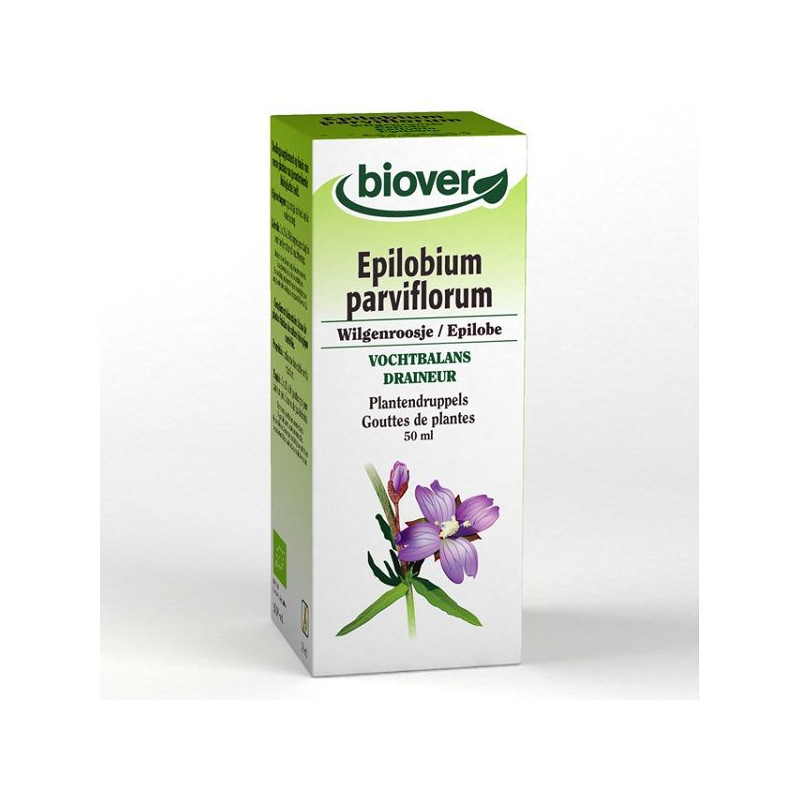 EPILOBE Epilobium parviflorum 50 ml Bio plante fraiche Troubles de la miction prostate fuite urinair EPILOBE Epilobium parviflorum 50 ml Bio plante fraiche Troubles de la miction prostate fuite urinair