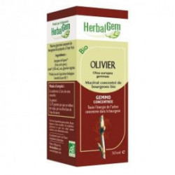 Olivier bourgeons 50 ml