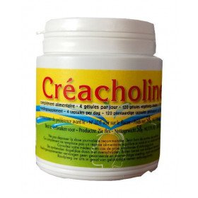Creacholine 120 gélules