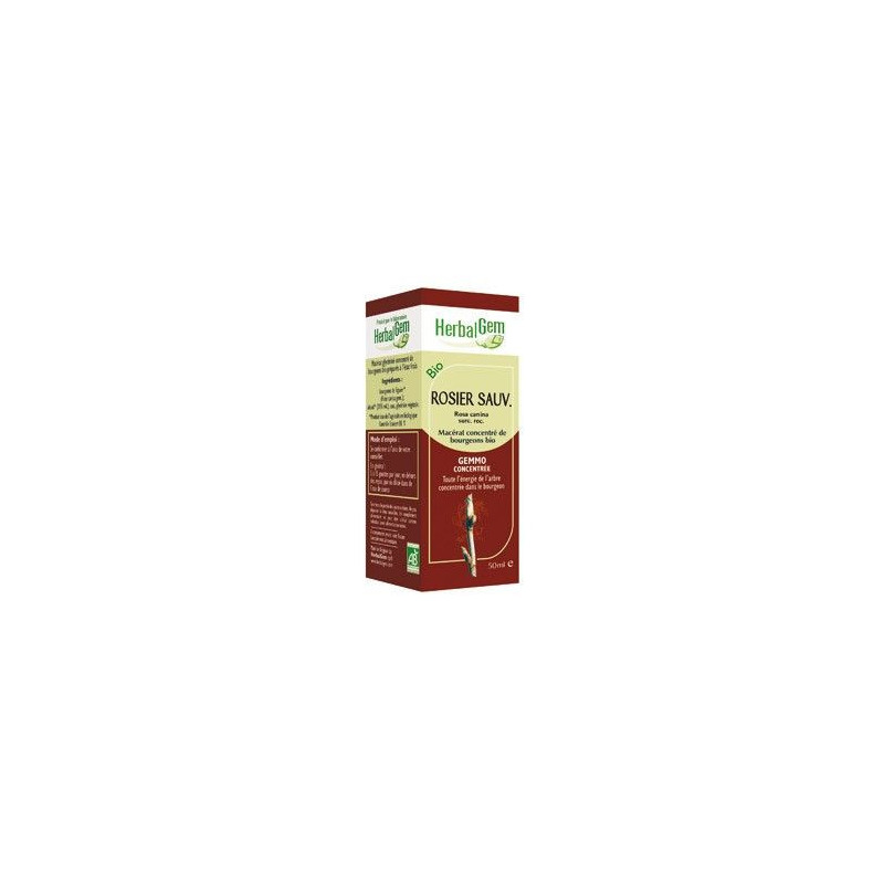 Rosier Sauvage macérat Herbalgem Bio Gemmothérapie Rosa canina 50 ml Rosier Sauvage macérat Herbalgem Bio Gemmothérapie Rosa canina 50 ml