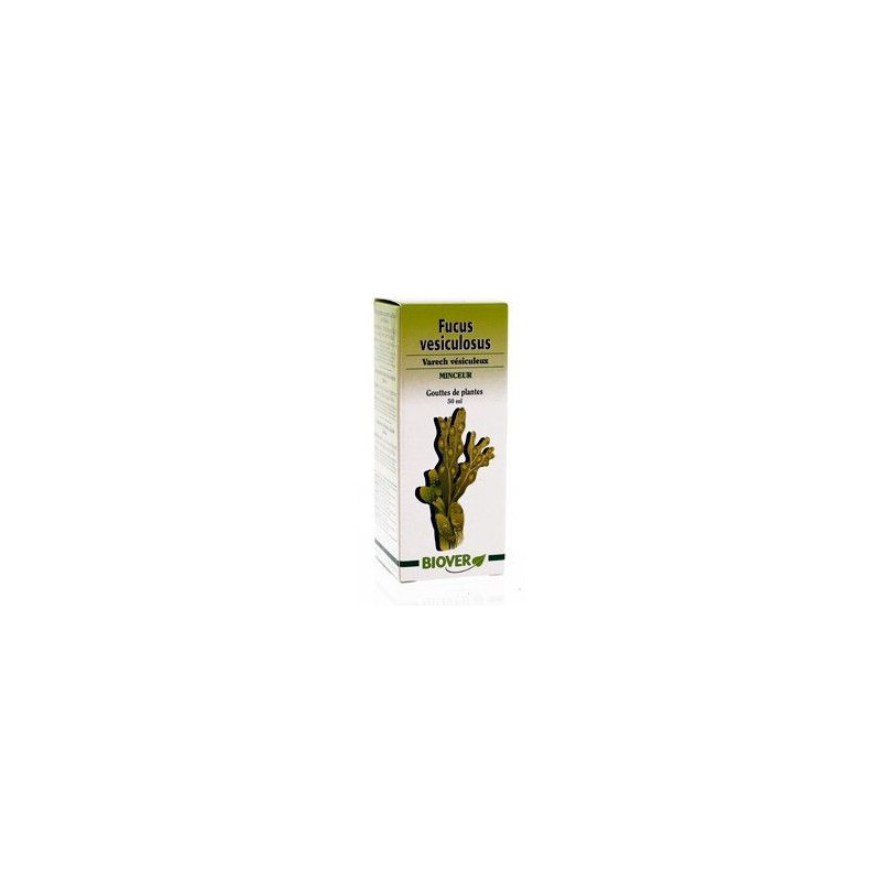 FUCUS vesiculosus Algue gouttes teinture mère Minceur Drainage peau d'orange hypothyroidie tension FUCUS vesiculosus Algue gouttes teinture mère Minceur Drainage peau d'orange hypothyroidie tension