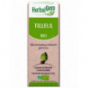 TILLEUL Bio 50 ml Macérât de bourgeons