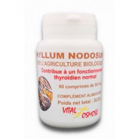 ASCOPHYLLUM nodosum Bio  -...