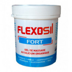 FLEXOSIL fort Gel - 200ml