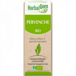 PERVENCHE Bio Vinca Minor gemmo