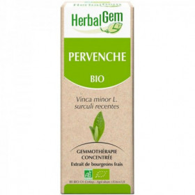 PERVENCHE Bio Vinca Minor...