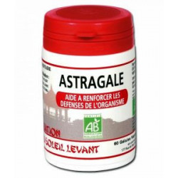 ASTRAGALE Bio 60 Gélules - DDM 12/23