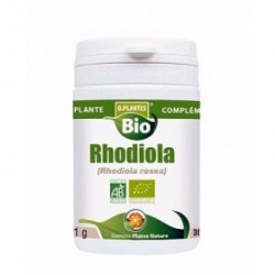 RHODIOLA Bio 30 gélules DDM:03/23