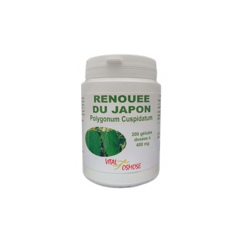REnouée du Japon polygonum cuspidatum Vitalosmose 200 gélules resveratrol polyphénol cardio cancer REnouée du Japon polygonum cuspidatum Vitalosmose 200 gélules resveratrol polyphénol cardio cancer