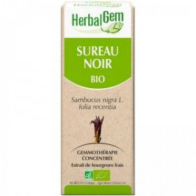 Sureau Noir Bio 50 ml