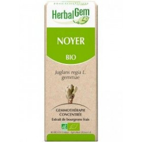 NOYER Bio gemmo 50 ml