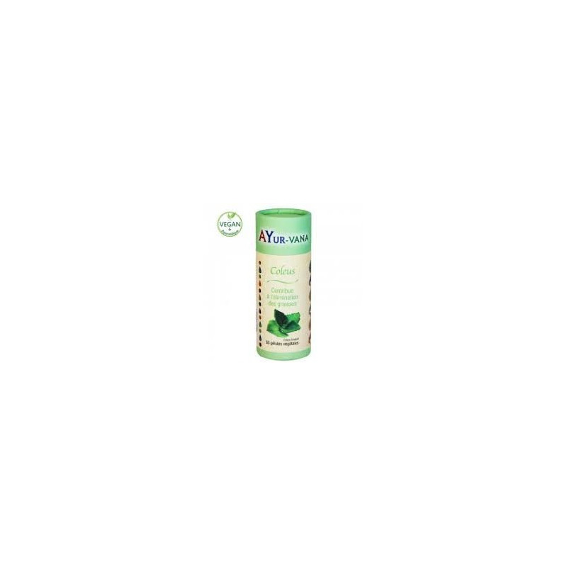 COLEUS FORSKOHLII bio végan 60 gélules végétales Ayurveda ayurvana bruleur de graisses minceur minci COLEUS FORSKOHLII bio végan 60 gélules végétales Ayurveda ayurvana bruleur de graisses minceur minci