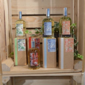 EAU DE TOILETTE MANDRAGORE...