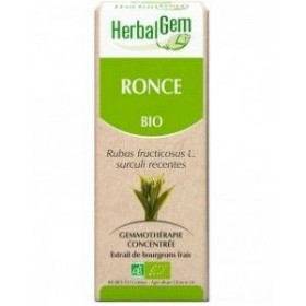 Ronce bio Gemmothérapie 50 ml