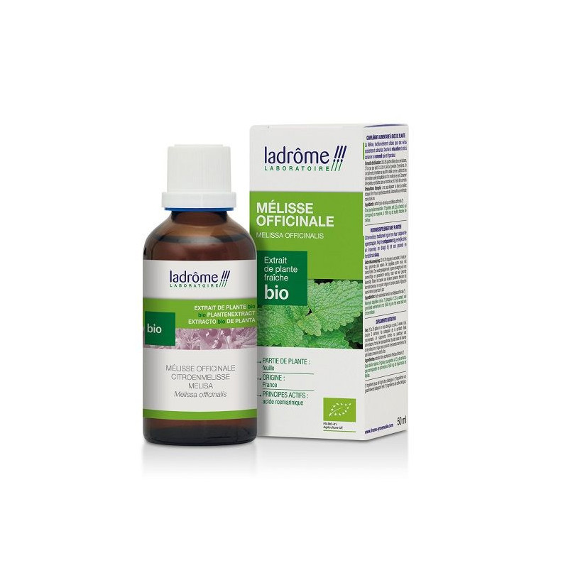 Mélisse Officinale- Extrait de plante fraîche- Apaisant-calmant- sommeil sain | Ombellenature.com Mélisse Officinale- Extrait de plante fraîche- Apaisant-calmant- sommeil sain | Ombellenature.com