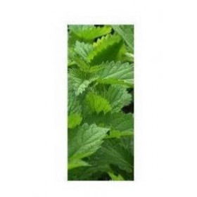 Ortie Feuille bio - 200...